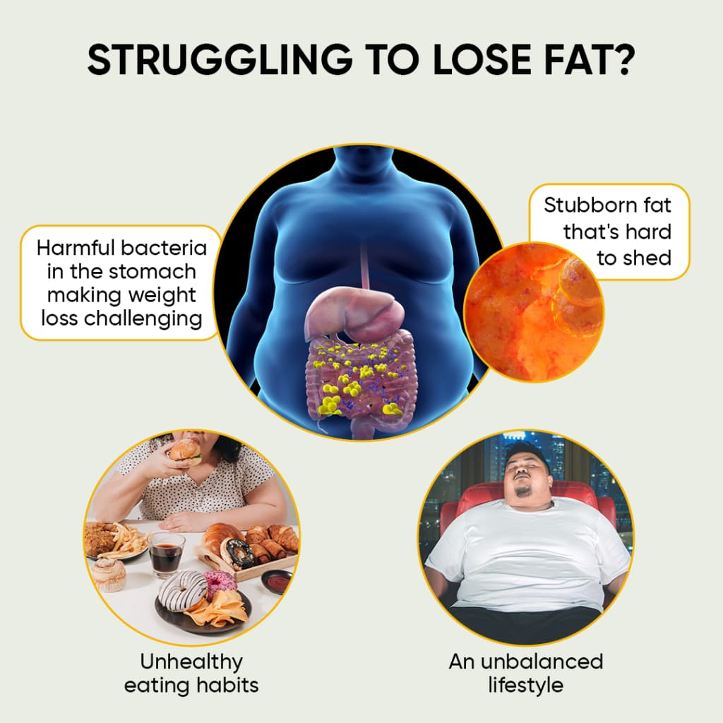 Supre Diet Probiotics information