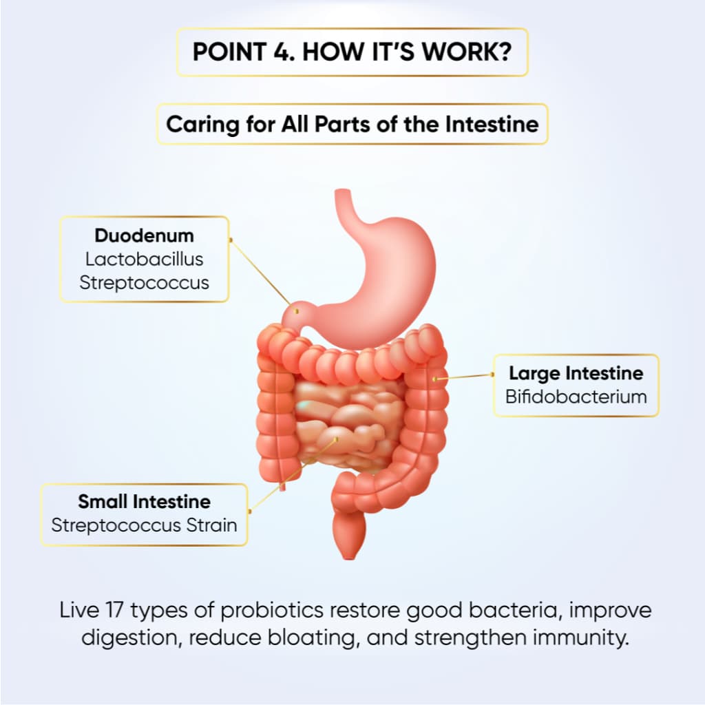 Supre Probiotics 7 Days Trial information